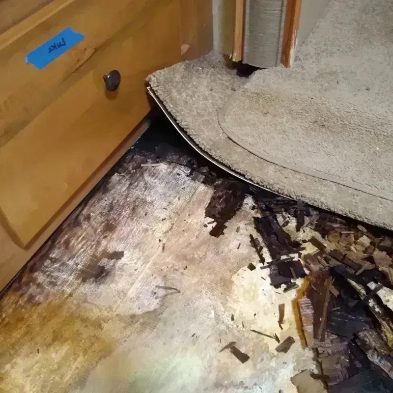 Wood Floor Water Damage in Glasscock County, TX